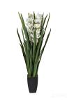 29BJ-911-45 Орхидея CYMBIDIUM искусств. белая в горшке h110 см