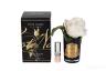 96СN-RB41 Диффузор Rose Bud White, спрей Rose Oud 5мл в упаковке