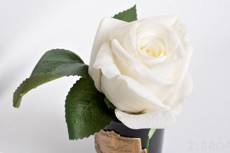 96СN-RB41 Диффузор Rose Bud White, спрей Rose Oud 5мл в упаковке