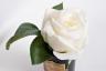 96СN-RB41 Диффузор Rose Bud White, спрей Rose Oud 5мл в упаковке