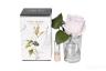 96СN-R46 Диффуз.Rose Bud French Pink,спрей White Gardenia 5мл уп