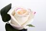 96СN-RB42 Диффузор Rose Bud Pink, спрей Rose Petal 5мл в упак.