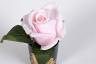 96СN-RB46 Диффузор Rose Bud Frech Pink, спрей Pink Peonies 5м уп