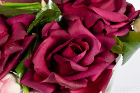 96СN-LV22 Диффузор Oval Red, спрей Pink Peonies 2x10 мл в упак.