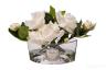 96CN-LV10 Диффузор Oval White, спрей White Gardenia 2x10мл  в уп.